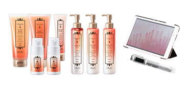 PROFESSIONAL SPA + 専用機器 10点セット