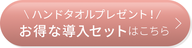 \ハンドタオルプレゼント!/お得な導入セットはこちら